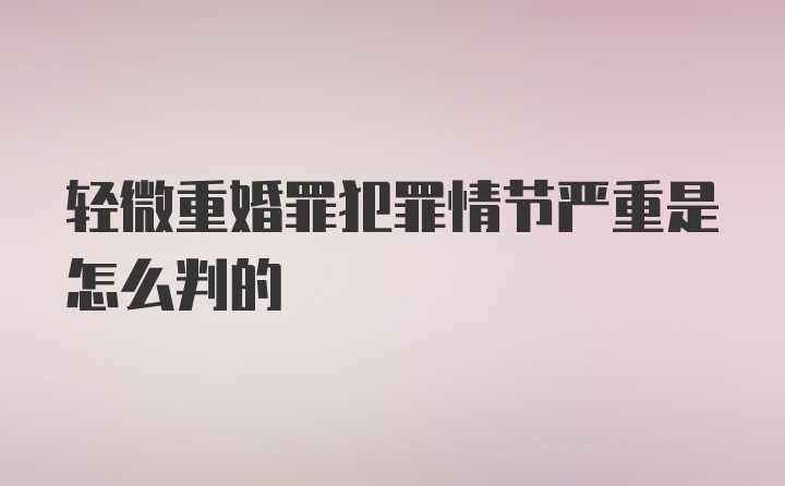 轻微重婚罪犯罪情节严重是怎么判的