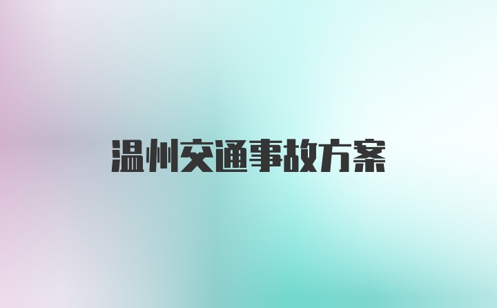 温州交通事故方案