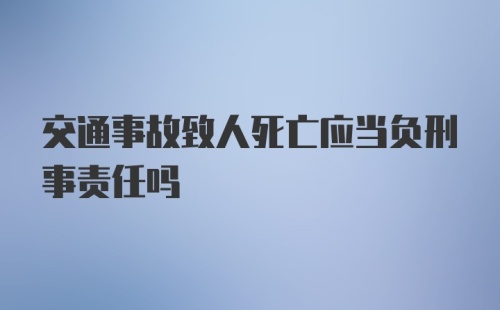 交通事故致人死亡应当负刑事责任吗