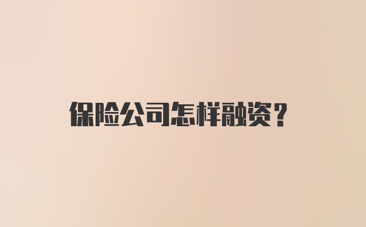 保险公司怎样融资？