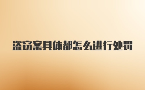 盗窃案具体都怎么进行处罚