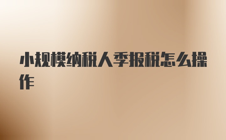 小规模纳税人季报税怎么操作