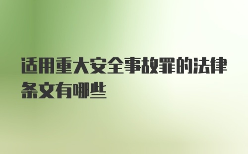 适用重大安全事故罪的法律条文有哪些