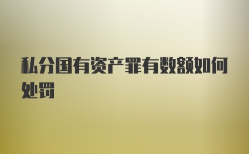 私分国有资产罪有数额如何处罚