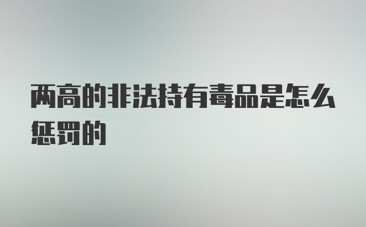 两高的非法持有毒品是怎么惩罚的