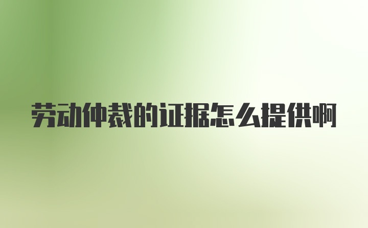劳动仲裁的证据怎么提供啊