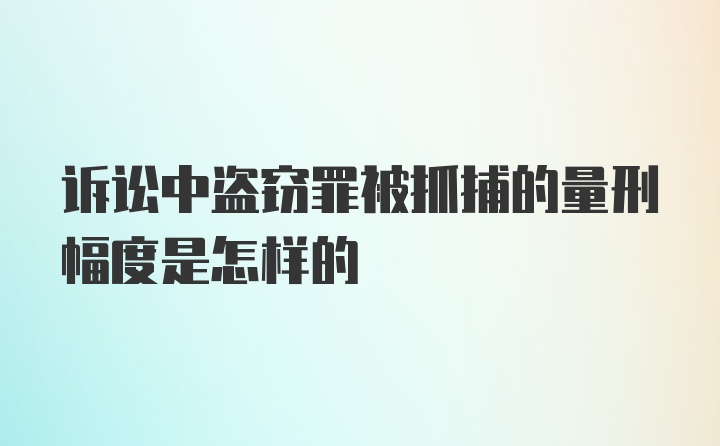 诉讼中盗窃罪被抓捕的量刑幅度是怎样的