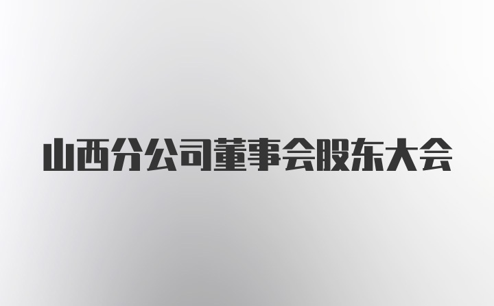 山西分公司董事会股东大会