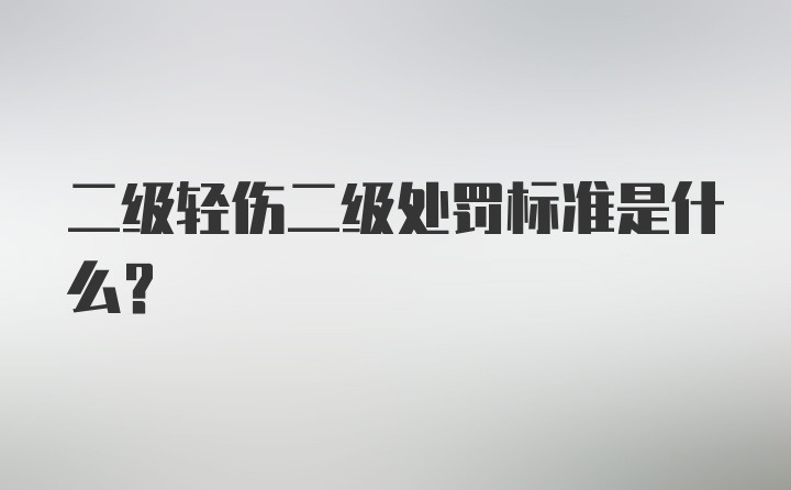 二级轻伤二级处罚标准是什么？