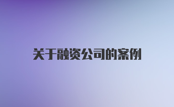 关于融资公司的案例