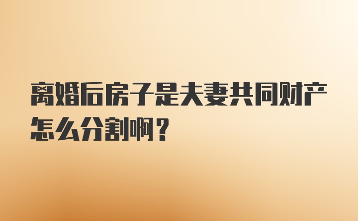 离婚后房子是夫妻共同财产怎么分割啊?