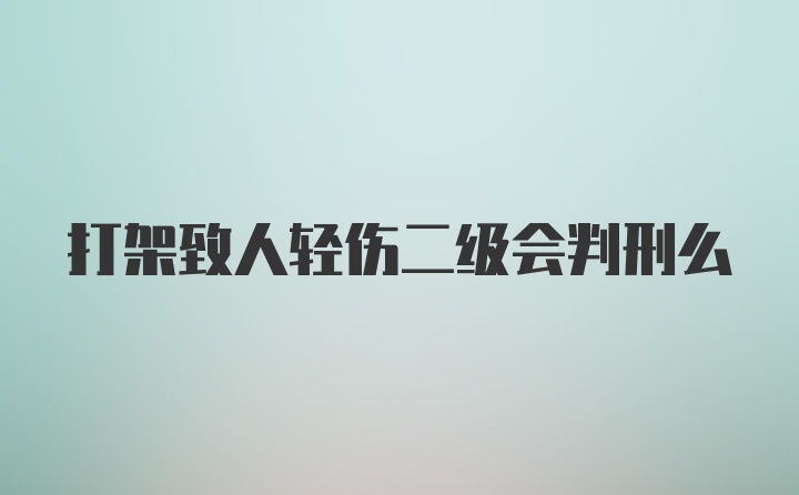 打架致人轻伤二级会判刑么