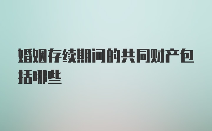 婚姻存续期间的共同财产包括哪些