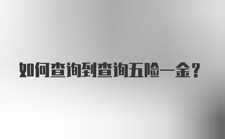 如何查询到查询五险一金?