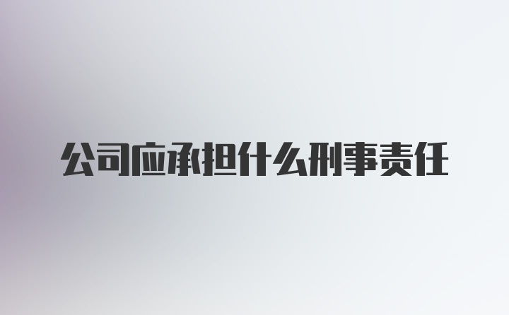 公司应承担什么刑事责任