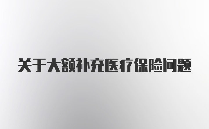 关于大额补充医疗保险问题