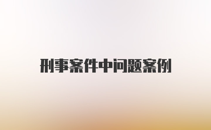 刑事案件中问题案例