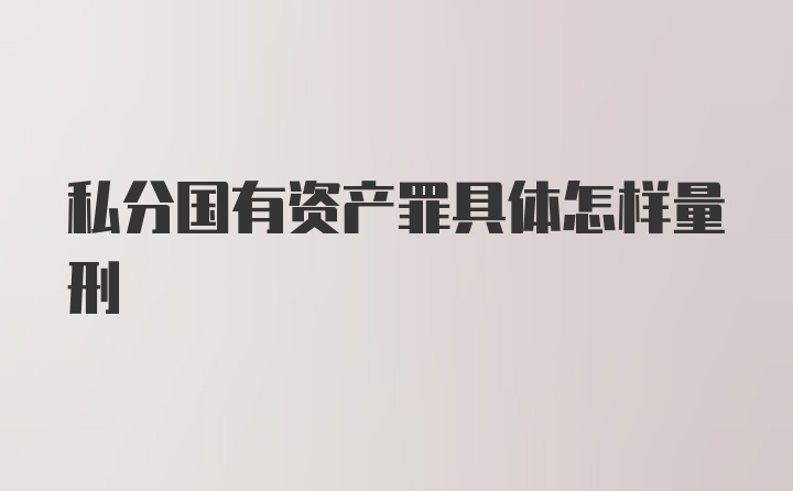 私分国有资产罪具体怎样量刑