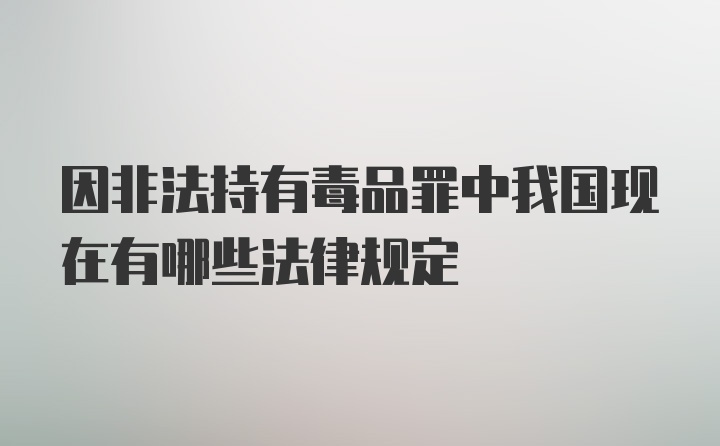 因非法持有毒品罪中我国现在有哪些法律规定