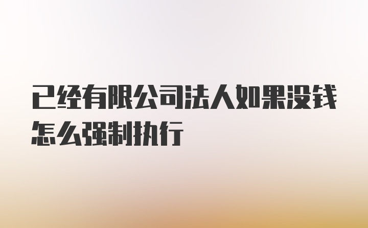 已经有限公司法人如果没钱怎么强制执行