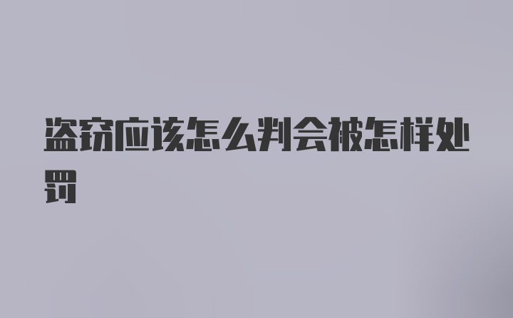 盗窃应该怎么判会被怎样处罚