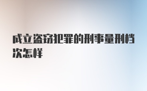 成立盗窃犯罪的刑事量刑档次怎样