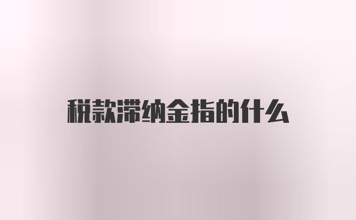 税款滞纳金指的什么