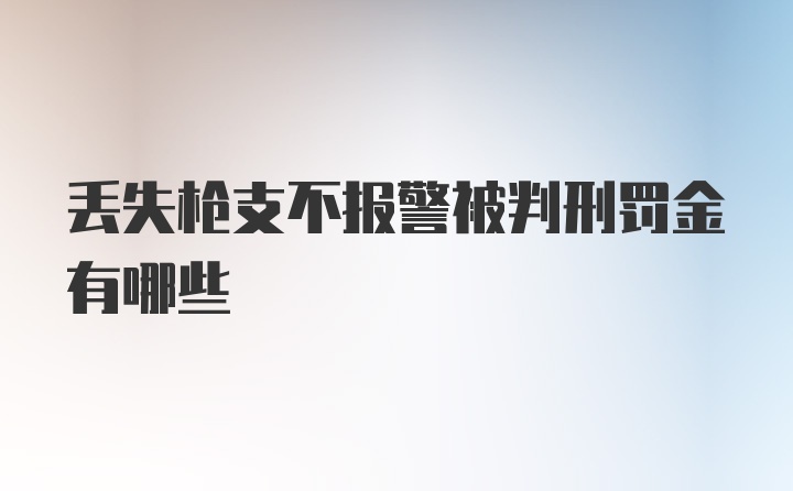 丢失枪支不报警被判刑罚金有哪些