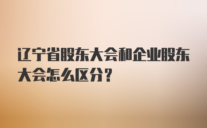 辽宁省股东大会和企业股东大会怎么区分？