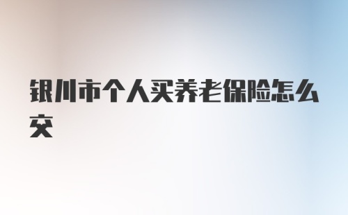 银川市个人买养老保险怎么交