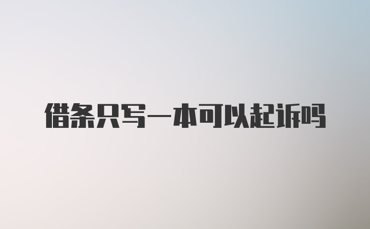 借条只写一本可以起诉吗