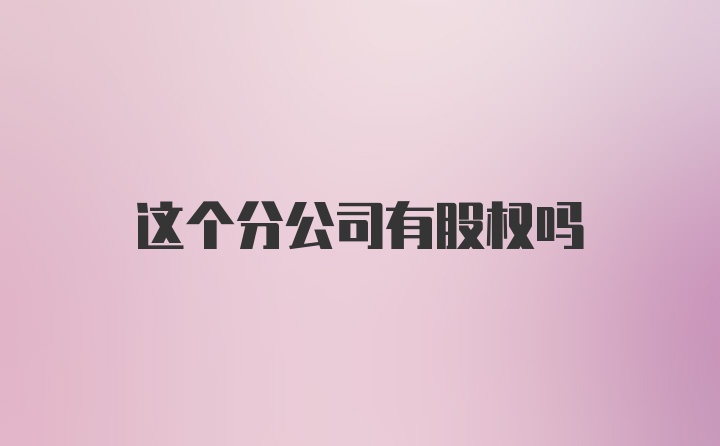 这个分公司有股权吗