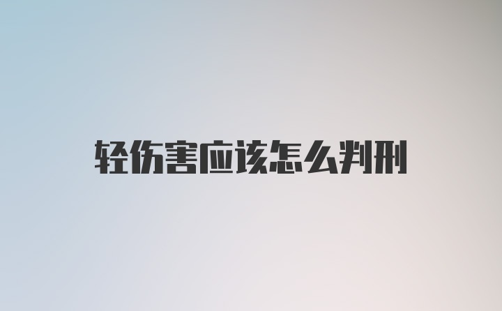 轻伤害应该怎么判刑