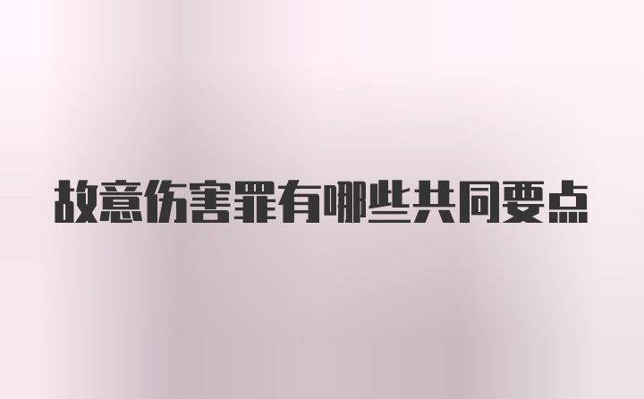 故意伤害罪有哪些共同要点