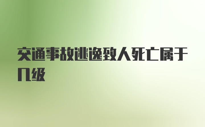 交通事故逃逸致人死亡属于几级