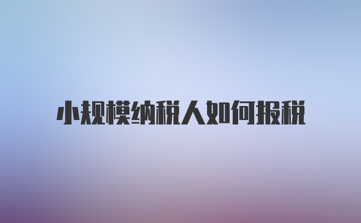 小规模纳税人如何报税