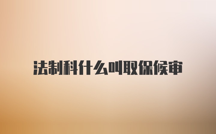 法制科什么叫取保候审