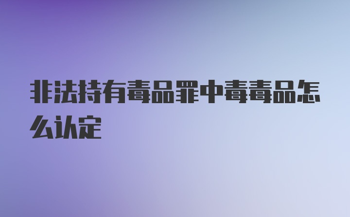 非法持有毒品罪中毒毒品怎么认定