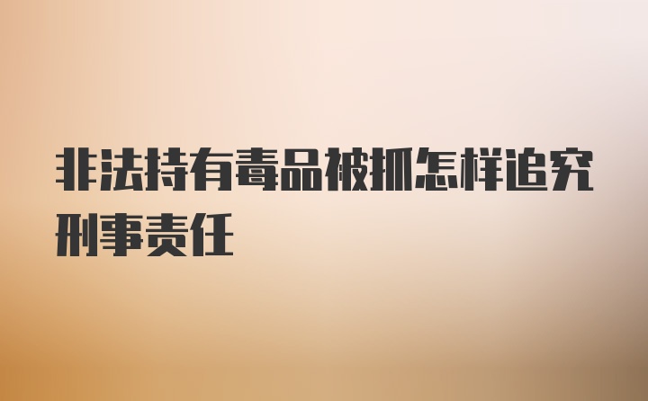 非法持有毒品被抓怎样追究刑事责任