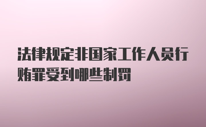 法律规定非国家工作人员行贿罪受到哪些制罚