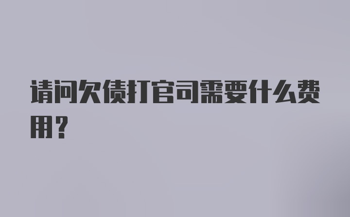 请问欠债打官司需要什么费用？