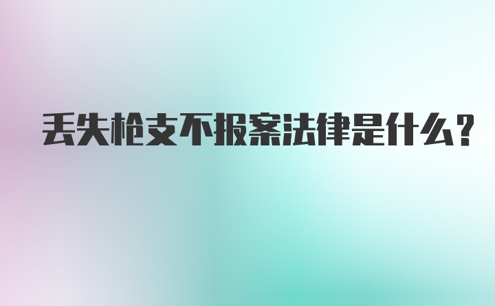 丢失枪支不报案法律是什么?