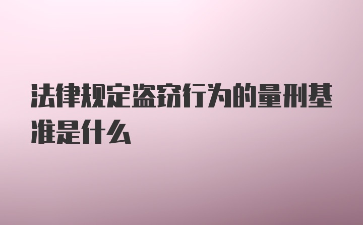 法律规定盗窃行为的量刑基准是什么