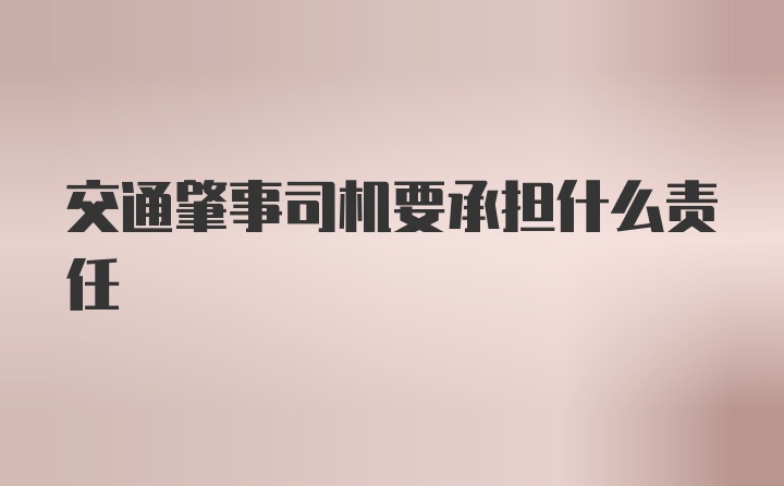 交通肇事司机要承担什么责任