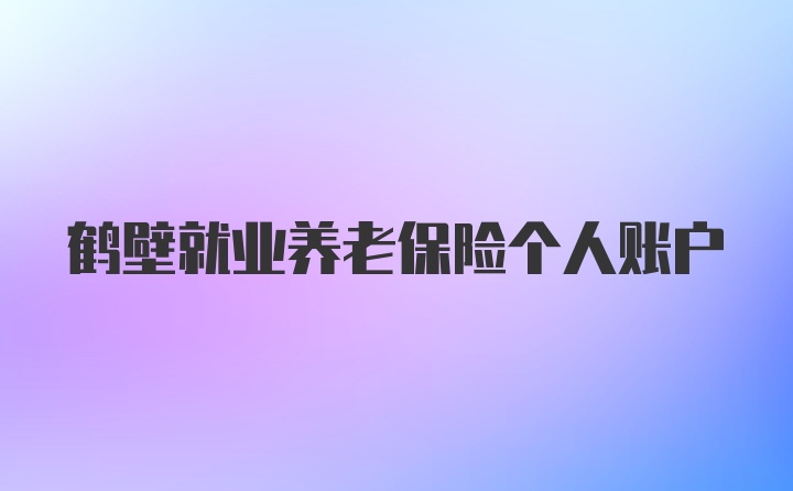 鹤壁就业养老保险个人账户