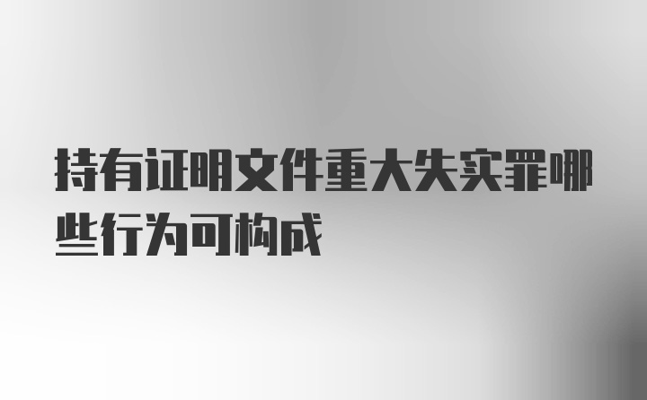 持有证明文件重大失实罪哪些行为可构成