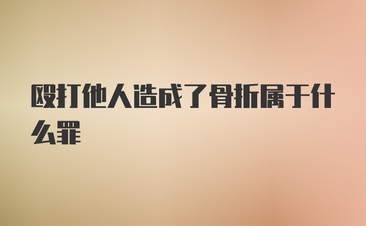 殴打他人造成了骨折属于什么罪