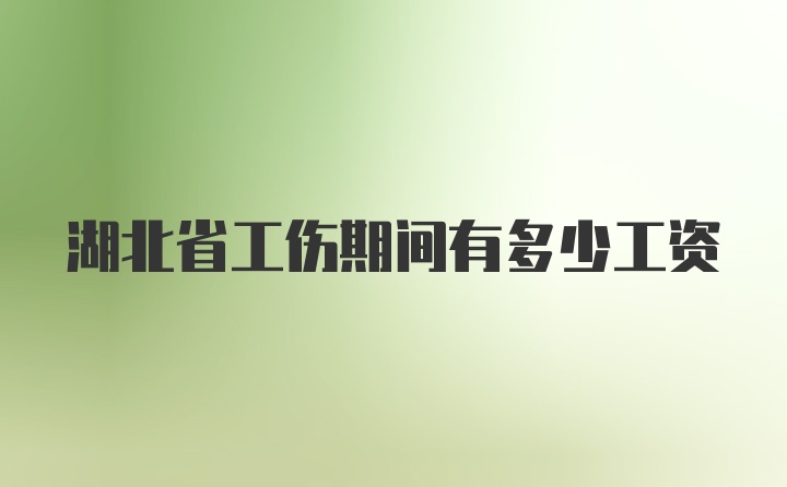 湖北省工伤期间有多少工资