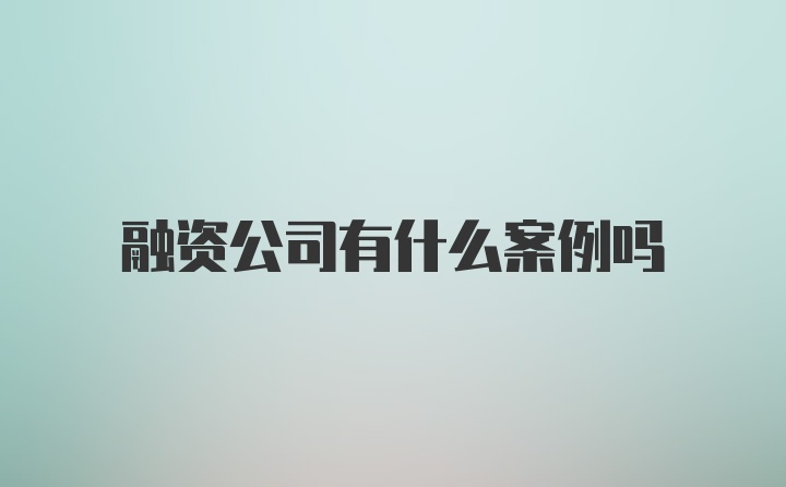 融资公司有什么案例吗