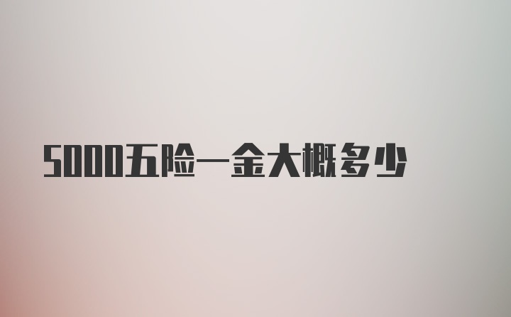 5000五险一金大概多少